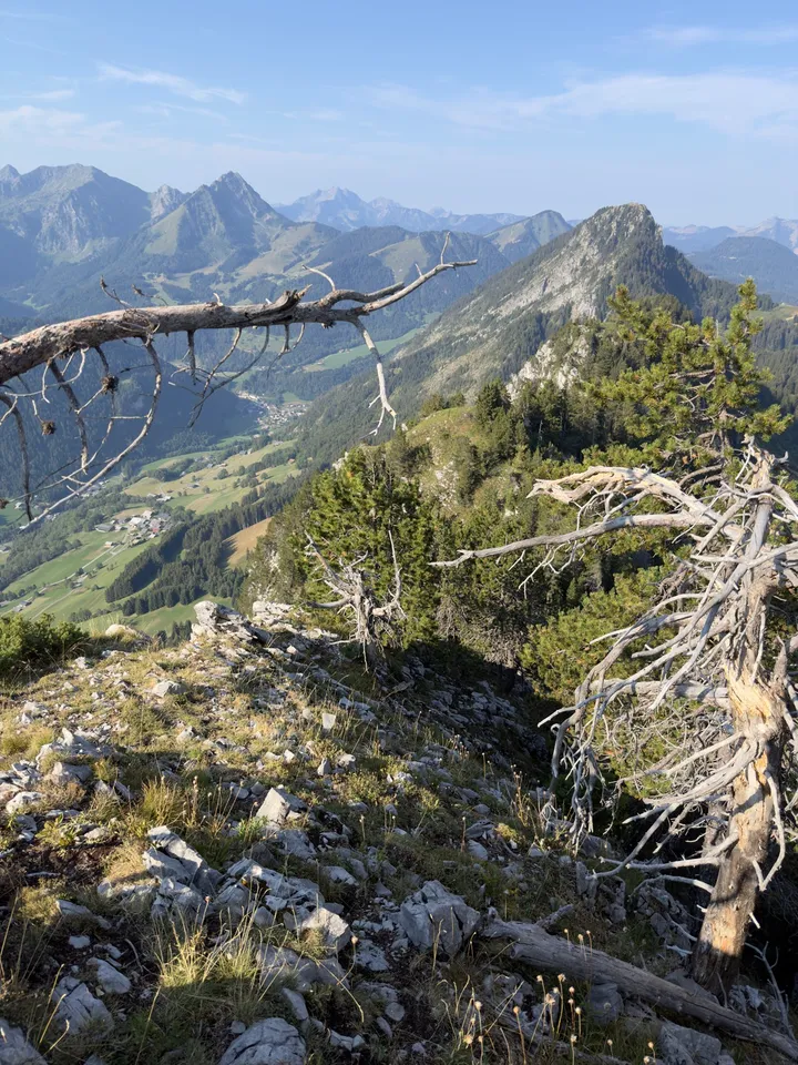 A narrow rocky ridge among low trees, with mountains and a valley beyond.